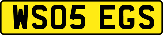WS05EGS