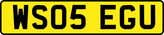 WS05EGU