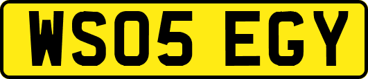 WS05EGY