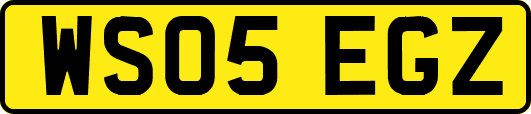 WS05EGZ