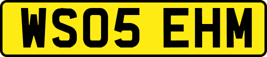 WS05EHM
