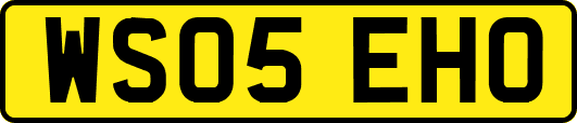 WS05EHO