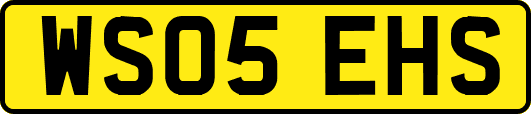 WS05EHS