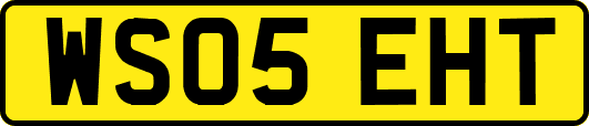 WS05EHT