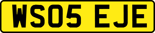 WS05EJE