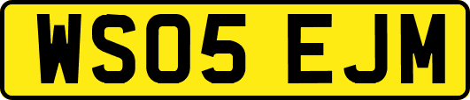 WS05EJM