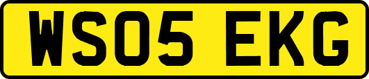 WS05EKG