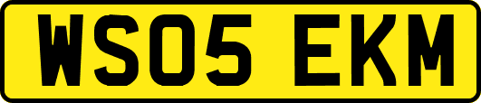 WS05EKM