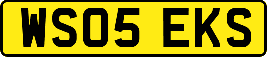 WS05EKS