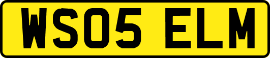 WS05ELM