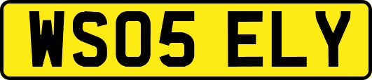 WS05ELY