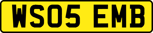 WS05EMB