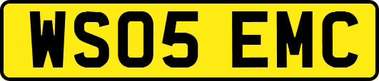 WS05EMC