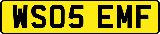 WS05EMF
