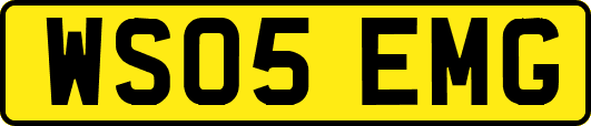 WS05EMG
