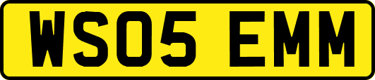 WS05EMM