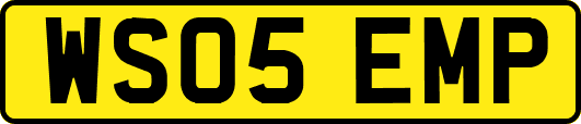 WS05EMP