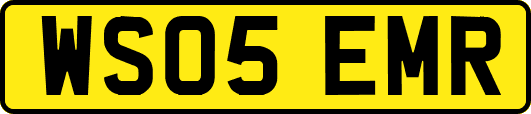 WS05EMR
