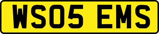 WS05EMS