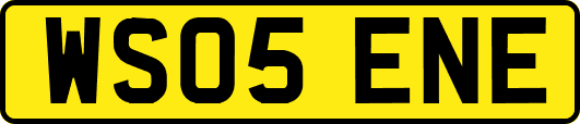 WS05ENE