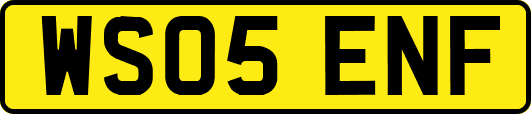 WS05ENF