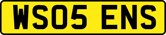 WS05ENS