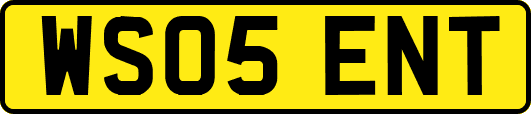 WS05ENT