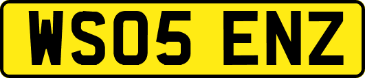 WS05ENZ