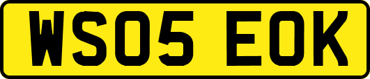 WS05EOK
