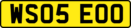 WS05EOO