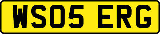 WS05ERG