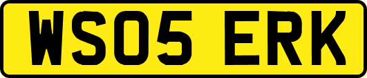 WS05ERK