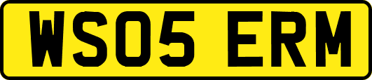 WS05ERM