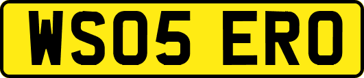 WS05ERO