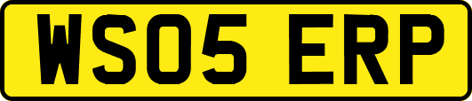 WS05ERP