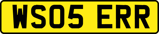 WS05ERR