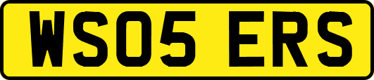 WS05ERS