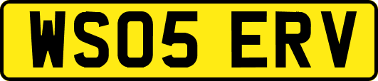 WS05ERV