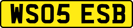 WS05ESB