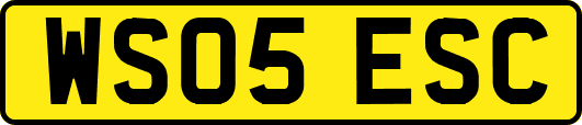 WS05ESC
