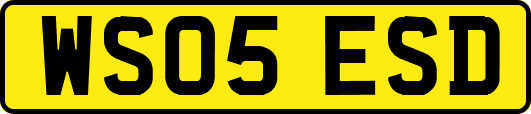 WS05ESD