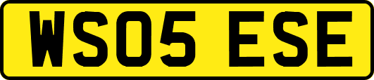 WS05ESE