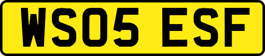 WS05ESF