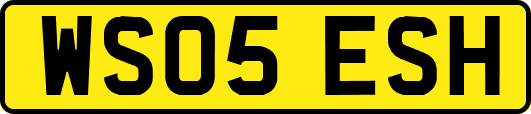 WS05ESH