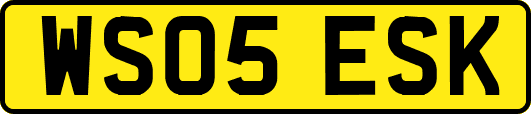 WS05ESK