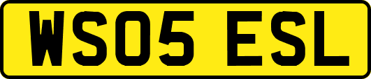 WS05ESL