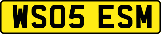 WS05ESM