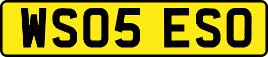 WS05ESO