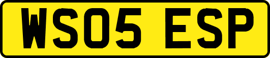 WS05ESP