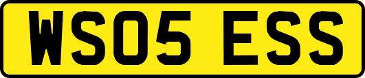 WS05ESS